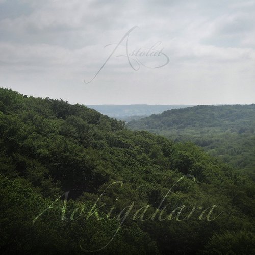 Aokigahara