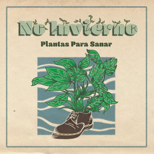 Plantas Para Sanar