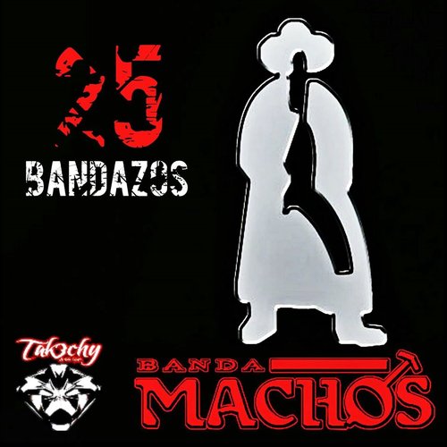25 Bandazos De Machos