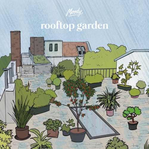 rooftop garden