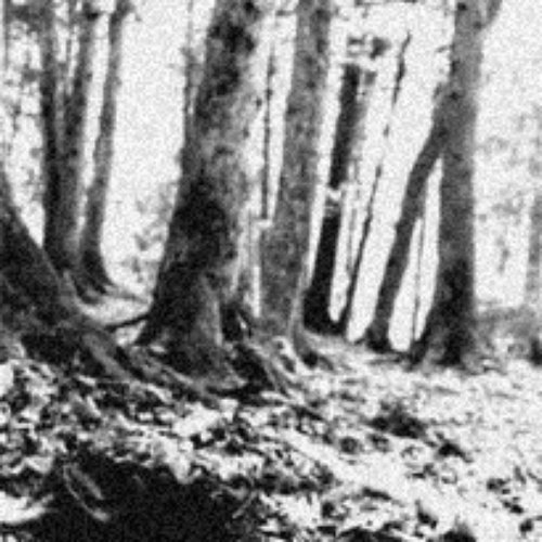 The Grave Hill