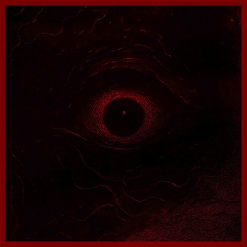Gaze Into the Void of Madness