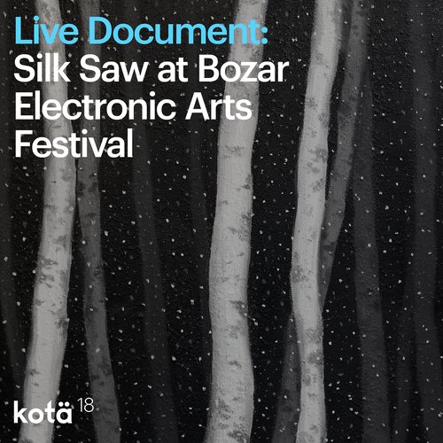 Live document: Silk Saw at Bozar Electronic Arts Festival