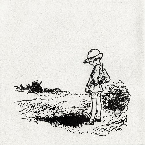 Demo