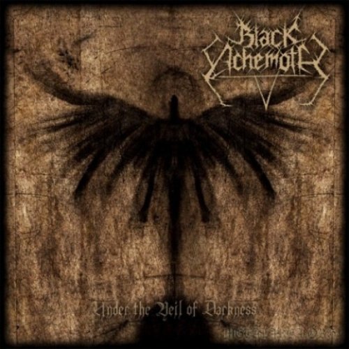 Under the Veil of Darkness