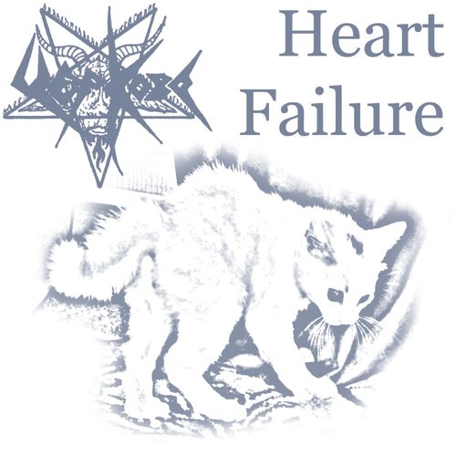 Heart Failure