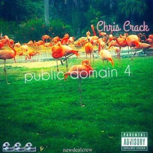 Public Domain 4