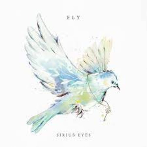 Fly - Single