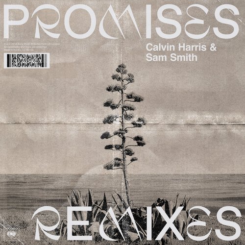 Promises (with Sam Smith) [Remixes]