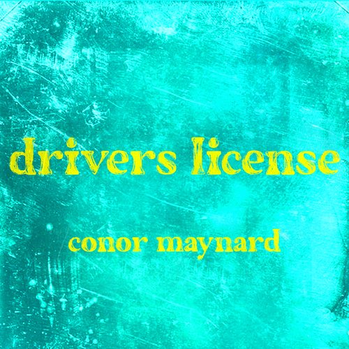 drivers license - Single