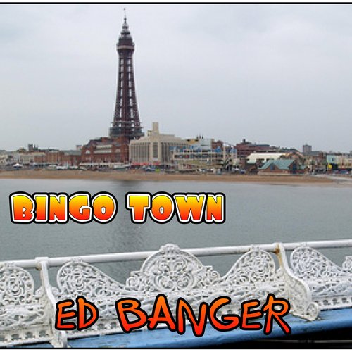 BiNGO TOWN