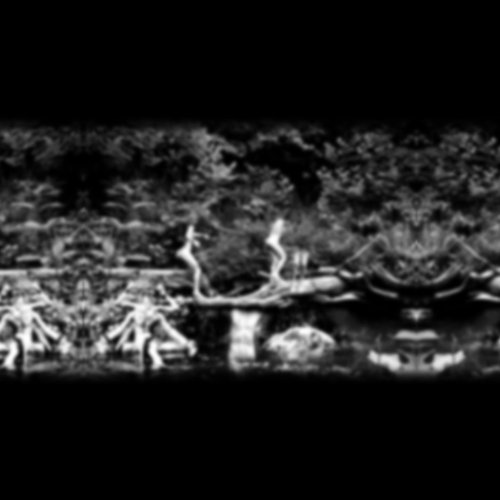 Chameleon Shelter (Disc 2)