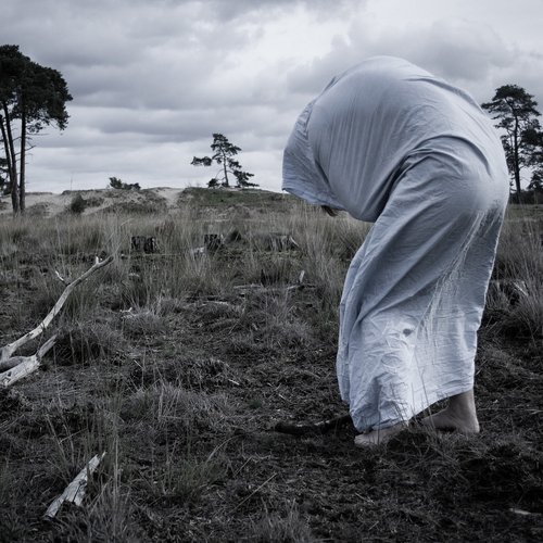 Shallow Pools of Grief