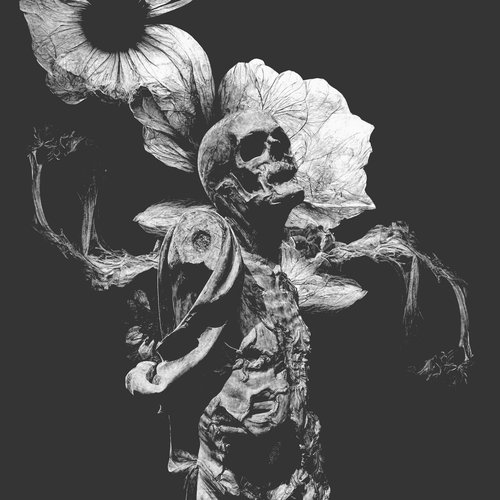 Flowers of Faith / / Dregs of Black