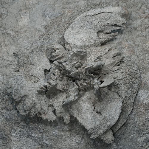 Eutanásia [Explicit]