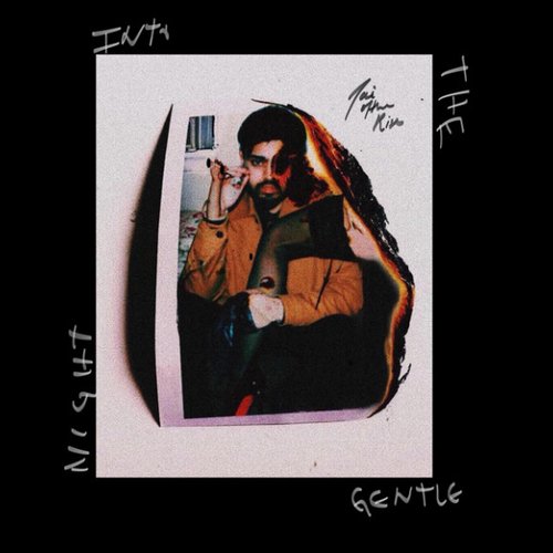 Into the Gentle Night