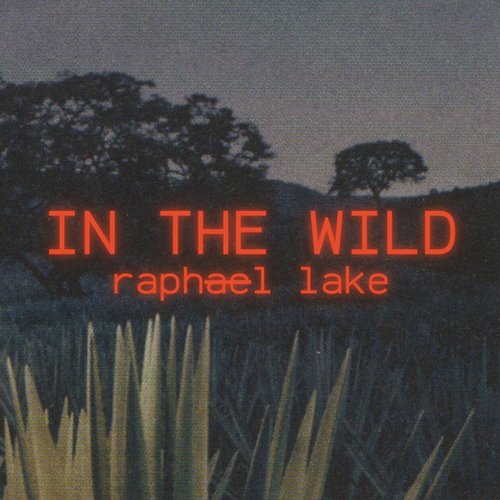 In The Wild