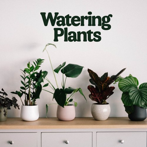 Watering Plants