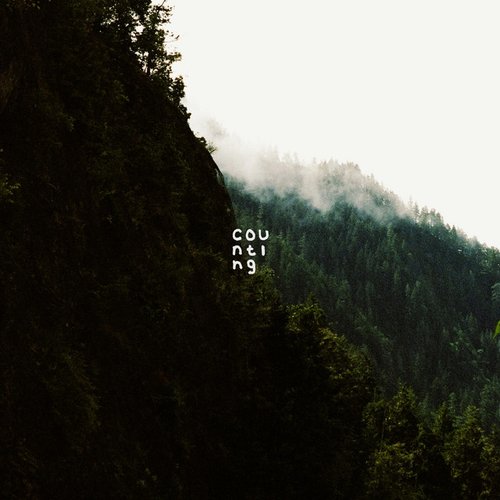 Counting - Single