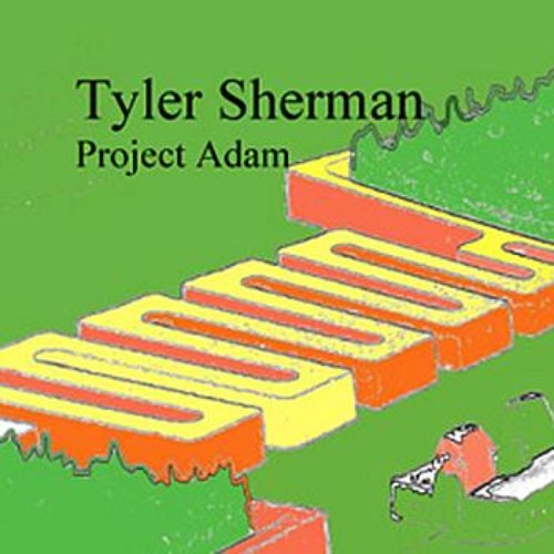 Project Adam