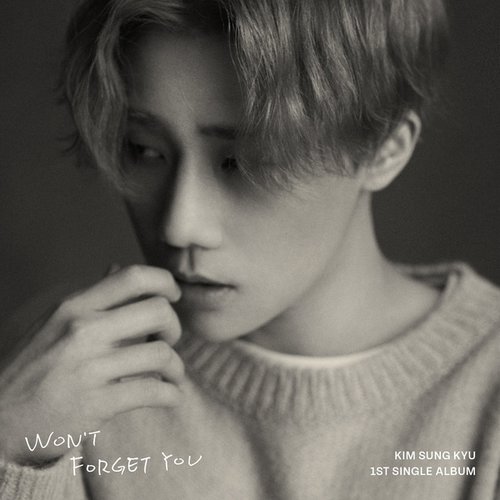 Won't Forget You - Single