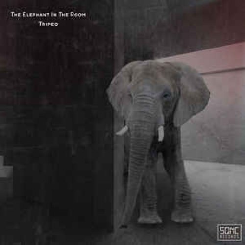 The Elephant in the Room - EP