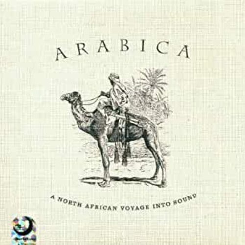 Arabica