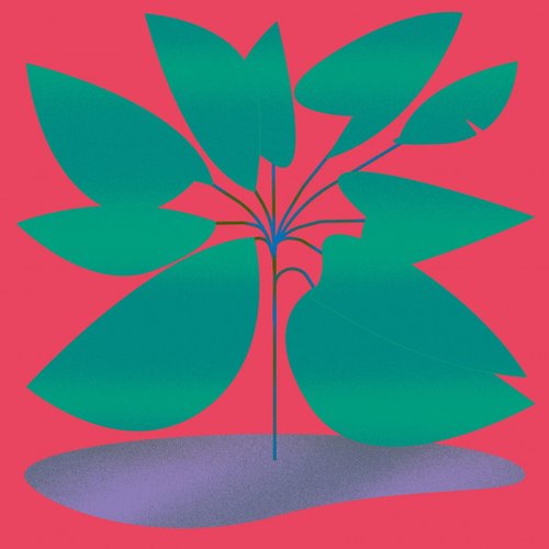 Wakayama
