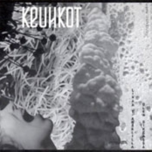 Lihaa y-akselilla olen oikeassa