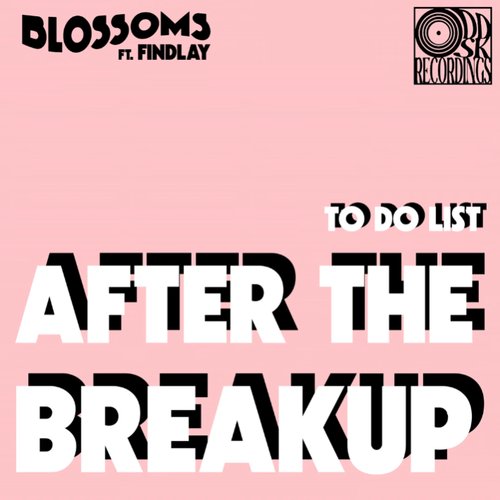 To Do List (After The Breakup) [feat. Findlay]