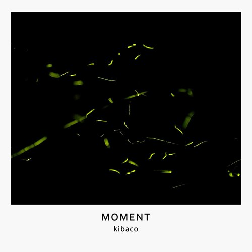 Moment