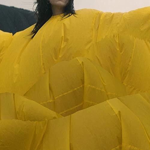 Geese (Gwenno Remix)