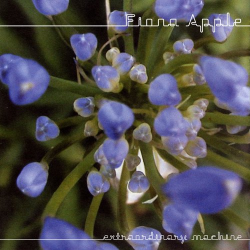 Extraordinary Machine (Jon Brion version)