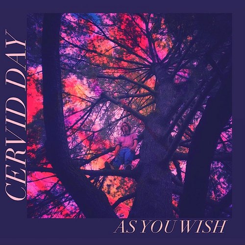 As You Wish