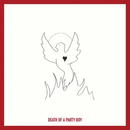 Death of a Party Boy