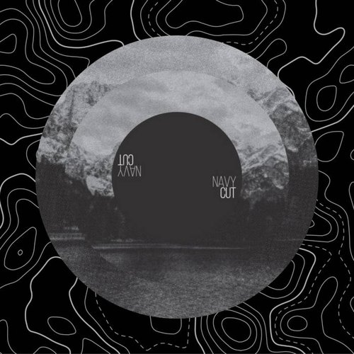 Monstera - Single