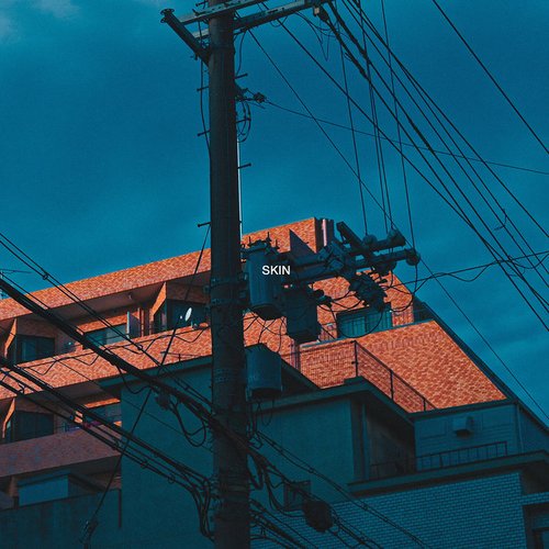 Skin