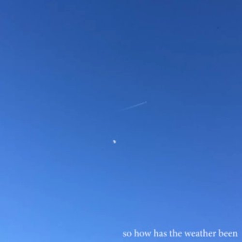 So How Has the Weather Been - Single