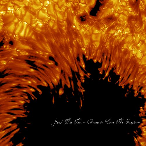 Choose to Live The Question