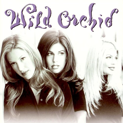 Wild Orchid