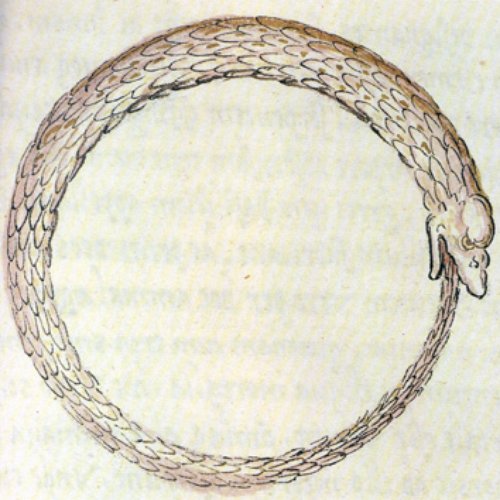Loop