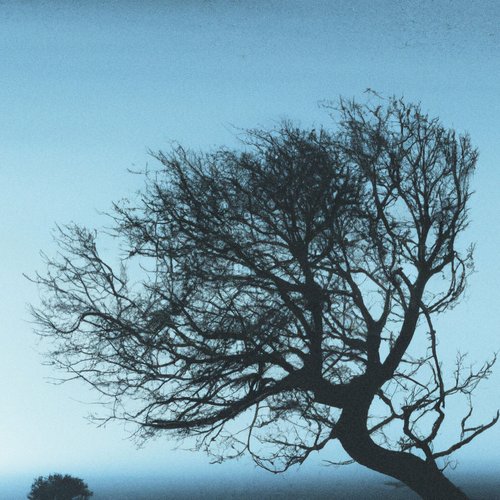 LX4S [Explicit]