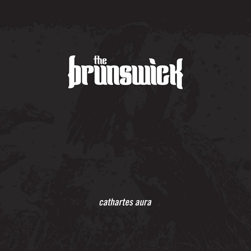Cathartes Aura