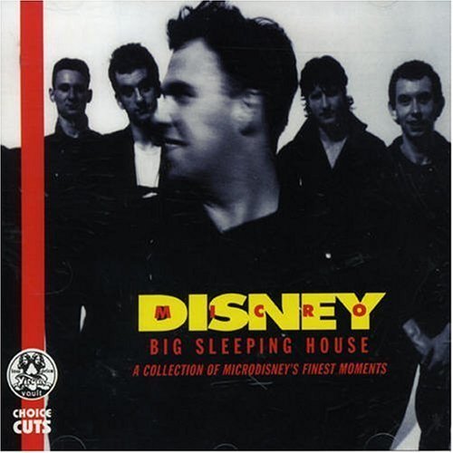 Big Sleeping House: A Collection Of Microdisney's Finest Moments