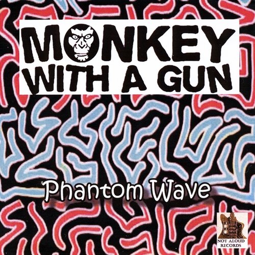 Phantom Wave