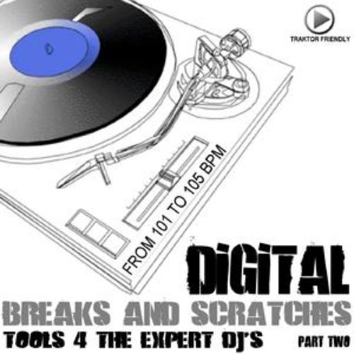 Digital Breaks And Scratches Part. 2