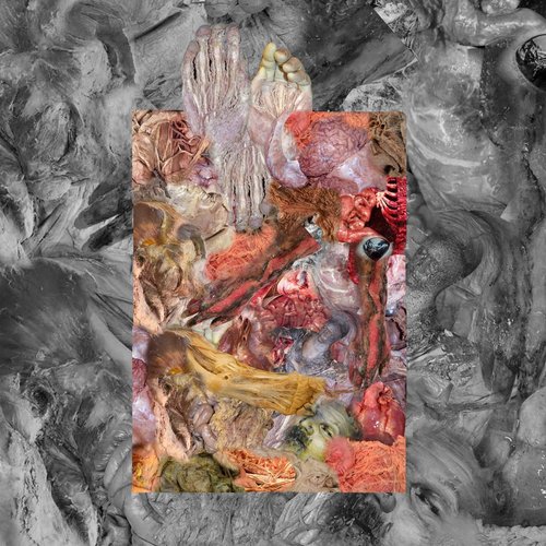 The Stench of Organs and Purulence Rapidly Decomposing - EP
