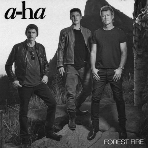 Forest Fire