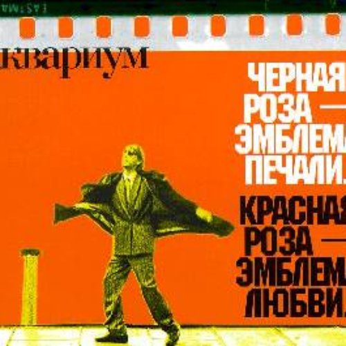 Фильмография (Черная роза - эмблема печали, красная роза - эмблема любви)