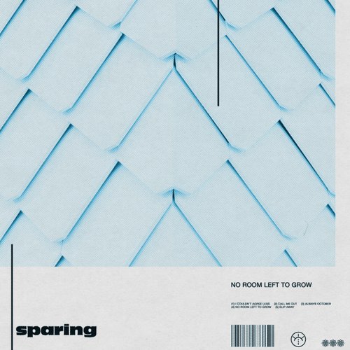 No Room Left to Grow - EP